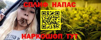 твердый Будённовск