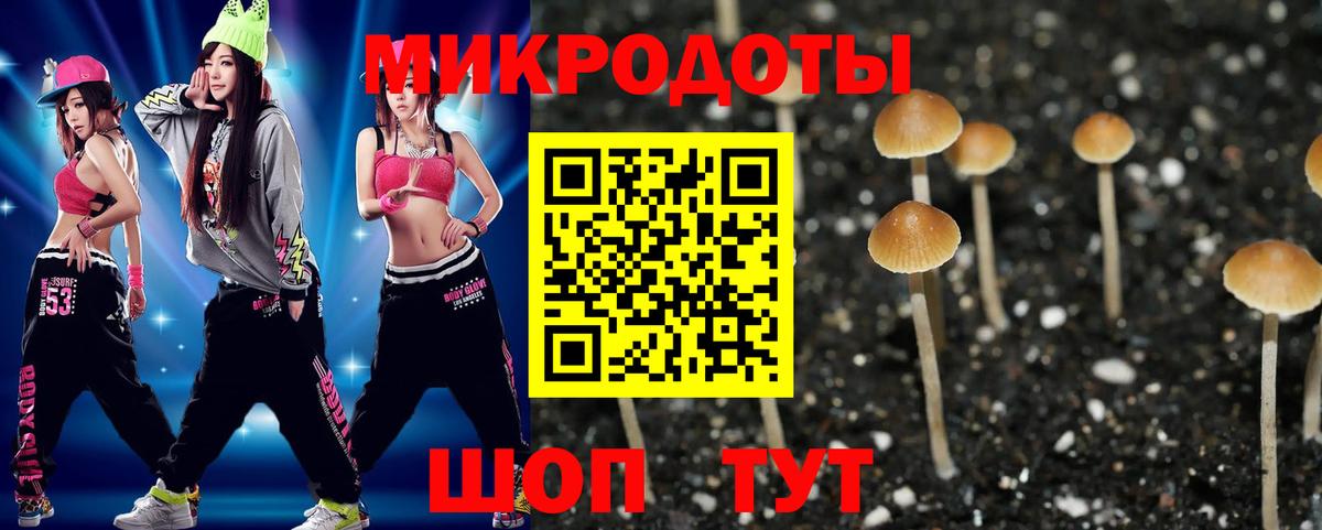 наркотики  Вход с VPN  Кудымкар  Псилоцибиновые грибы MAGIC MUSHROOMS 